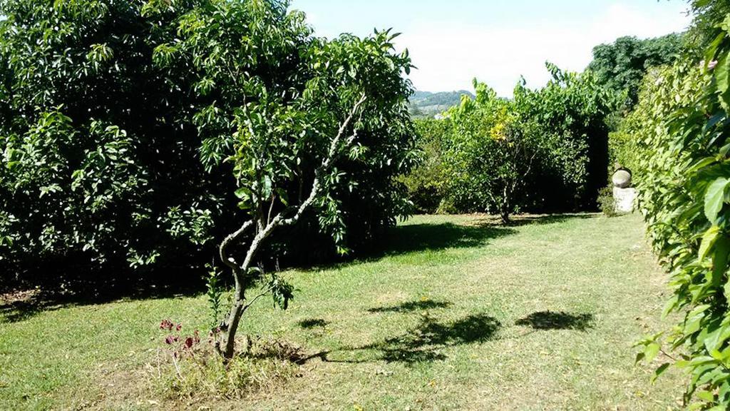 Quinta Das Bolas Ponta Delgada Zewnętrze zdjęcie