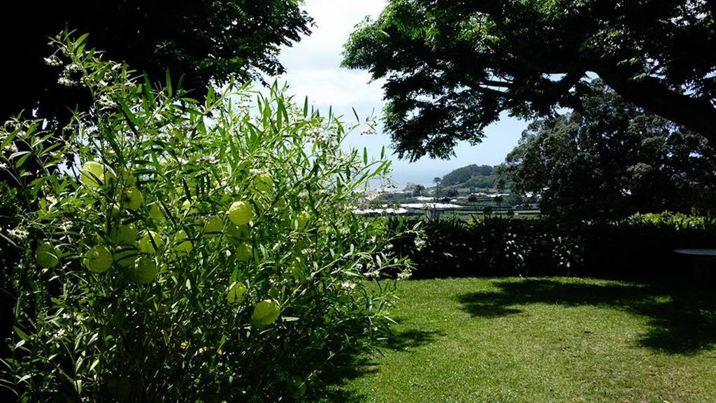 Quinta Das Bolas Ponta Delgada Zewnętrze zdjęcie