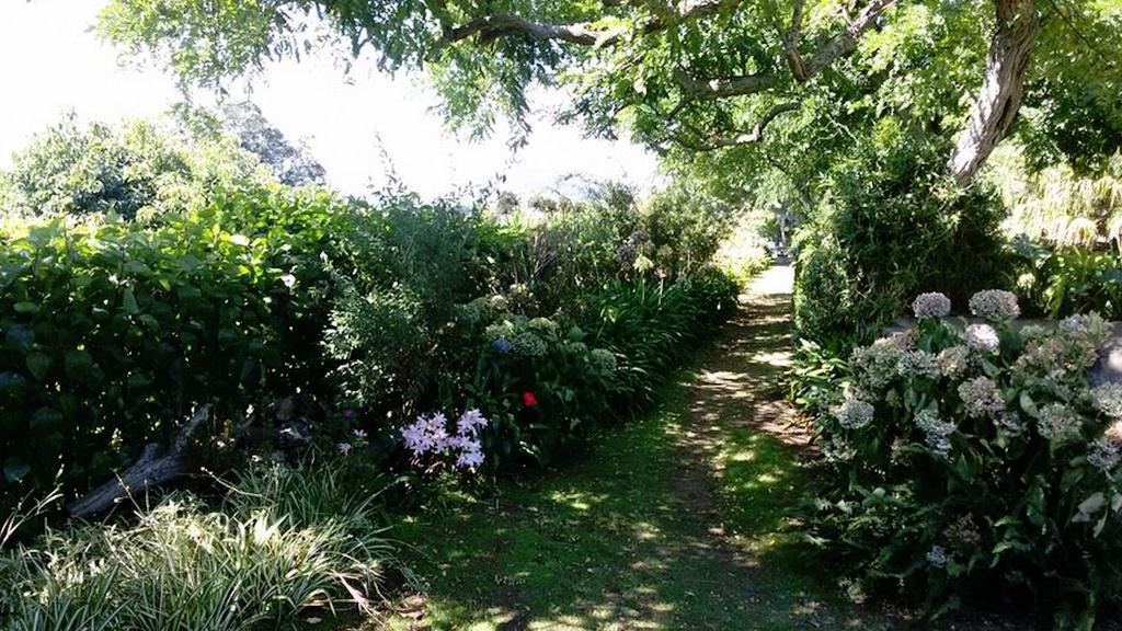 Quinta Das Bolas Ponta Delgada Zewnętrze zdjęcie